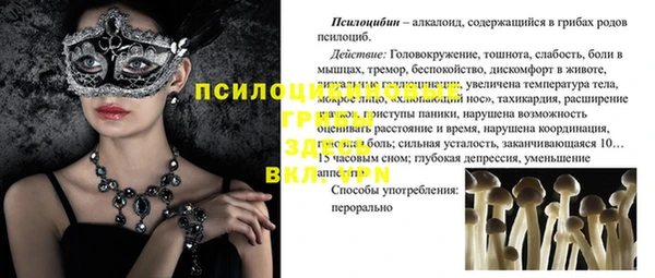 экстази Арсеньев