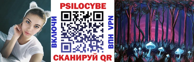 где найти   Медынь  Галлюциногенные грибы Psilocybine cubensis 