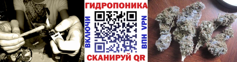 цены   Медынь  Бошки Шишки марихуана 